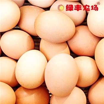 绿丰优选精品土鸡蛋10枚/盒